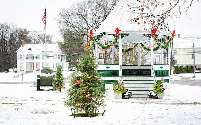 Festive Gazebo in Winter Wonderland Wall Art