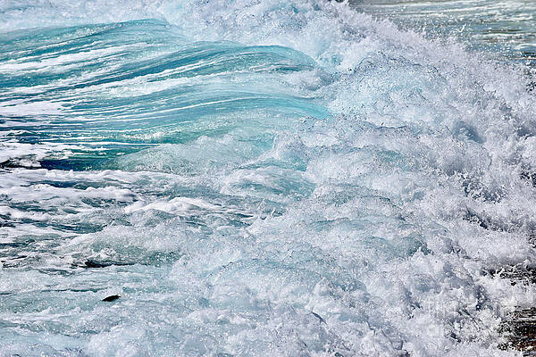 Wall Art featuring the photograph Fish Vs Crashing Wave by Debra Banks