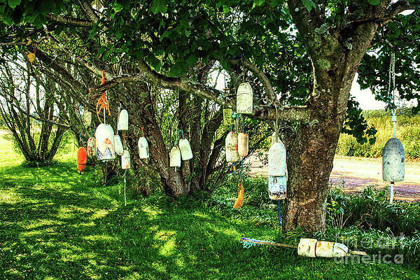 Wall Art featuring the photograph Fisherman's Buoys Tree by Tatiana Travelways