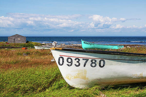 Boats Resting Near the Ocean Wall Art