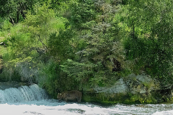 Water Photograph - Fishing In The Grotto by Harry Banks
