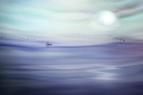 Abstract Photograph - Fishing by Ursula Abresch