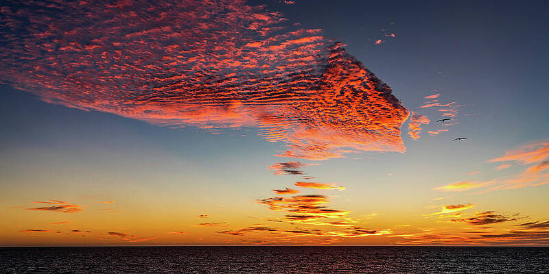 Mexico Wall Art featuring the photograph Fishy Sunset Mazatlan Mexico 0 by Tommy Farnsworth