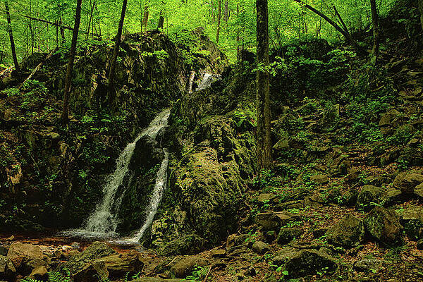 Wilderness Wall Art featuring the photograph Fitzgerald Falls 1 by Raymond Salani III