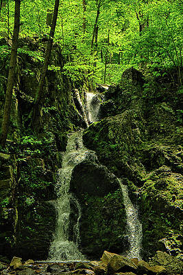 Waterfall Photograph - Fitzgerald Falls 3 by Raymond Salani III