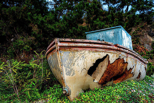 Nature Photograph - Fixer-upper by Anthony Hightower