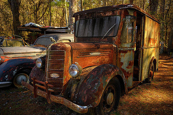 Rusty Vintage Truck in Forest Photograph