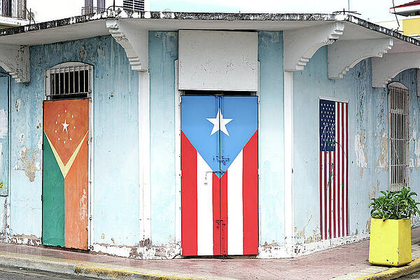 Flags on a Building Corner Wall Art