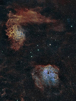 Nebula Photograph - Flaming Star And Tadpole Nebulas by Brian Weber
