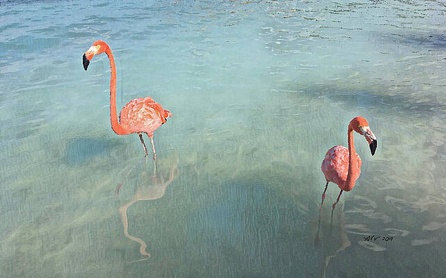 Florida Wall Art featuring the digital art Flamingo In Shallow Water by Antonios Valamontes