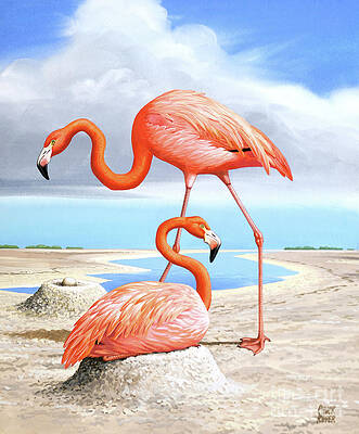 Flamingos On River Beach Print