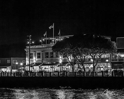 Reflection Wall Art featuring the photograph Fleetwoods At Night by Charlie Osborn