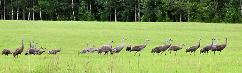 Wall Art featuring the photograph Flight Line For Departure by Harry Banks
