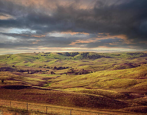 Tree Wall Art featuring the photograph Flint Hills Field, Kansas Approaching Star by Robert Niemeier