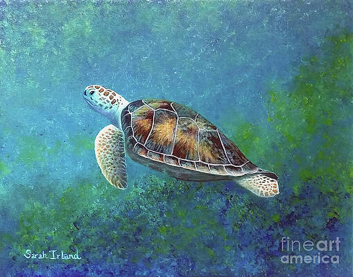 Floating Free by Sarah Irland