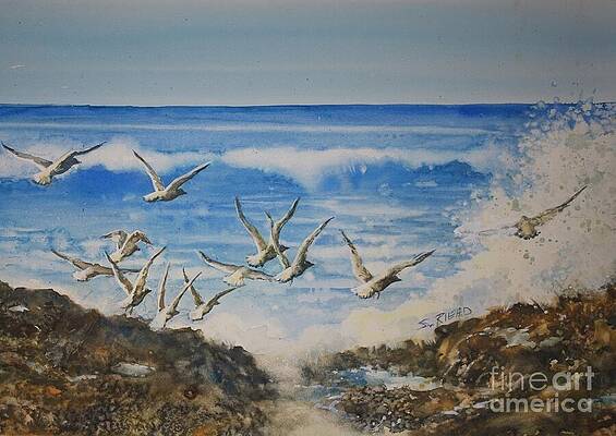 Wall Art featuring the painting Flock Of Seagulls by Sybil Riead
