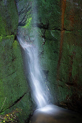 Waterfall in Verdant Gorge Wall Art