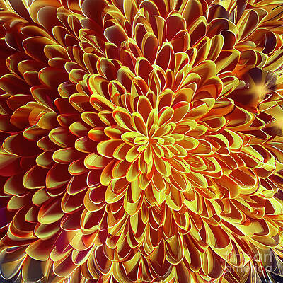 Yellow Digital Art - Floral Abstract 35 by William Gunn