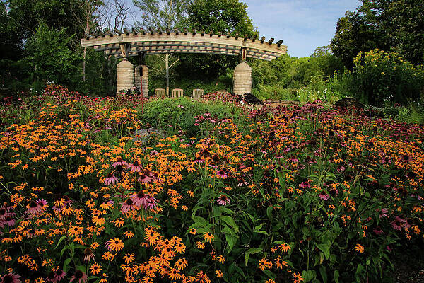 Natural Photograph - Floral Archway Splendor by Deb Beausoleil