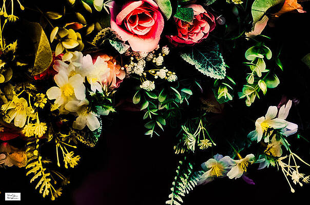 Nature Photograph - Mia- Floral Arrangement by Alex John Bergerman