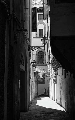 Wall Art featuring the photograph Florence Alley by Steven Nelson