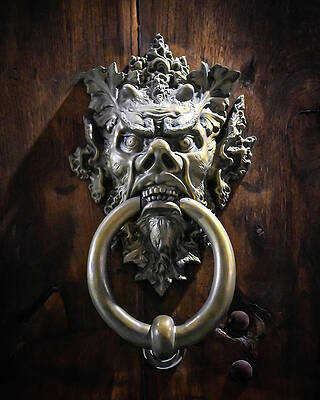 Wall Art featuring the photograph Florence Knocker by Steven Nelson