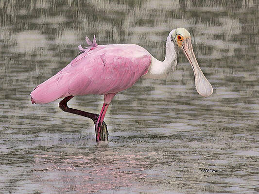 Florida Wall Art featuring the digital art Florida Spoonbill by Antonios Valamontes