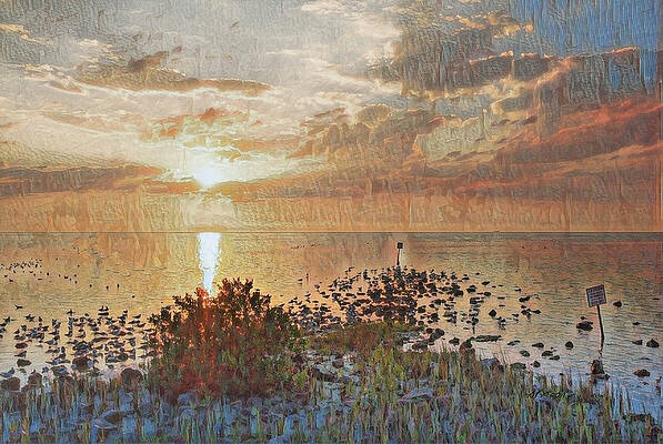 Florida Wall Art featuring the digital art Florida Sunset by Antonios Valamontes