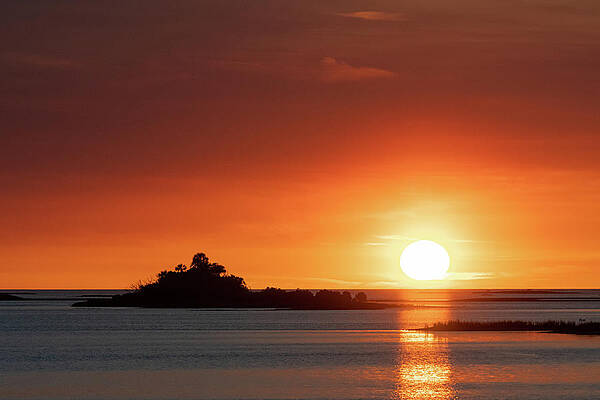 Color Image Wall Art featuring the photograph Florida Sunset by Michael Warren