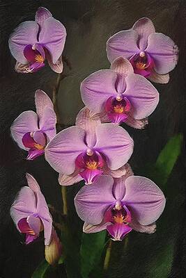Vibrant Wall Art featuring the digital art Flower Painting Of Beautiful Orchid Blooms by Nature Oil Painting