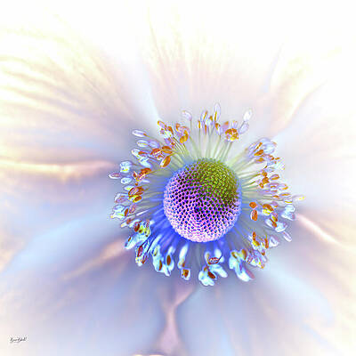 Wall Art featuring the digital art Flower Up Close by Bruce Block