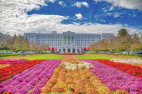 West Virginia Photograph - Flowers At The Greenbrier by Jonny D