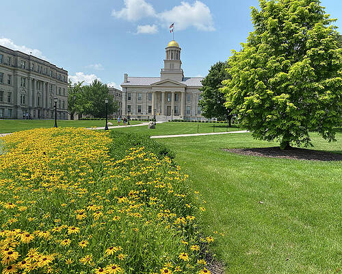 Photograph - Flowers On Old Capital by Robert Allen Hill