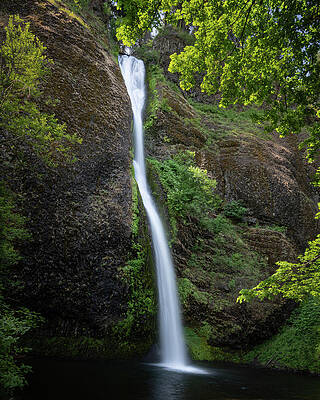 Photograph - Flowing Horsetail by Matt Halvorson