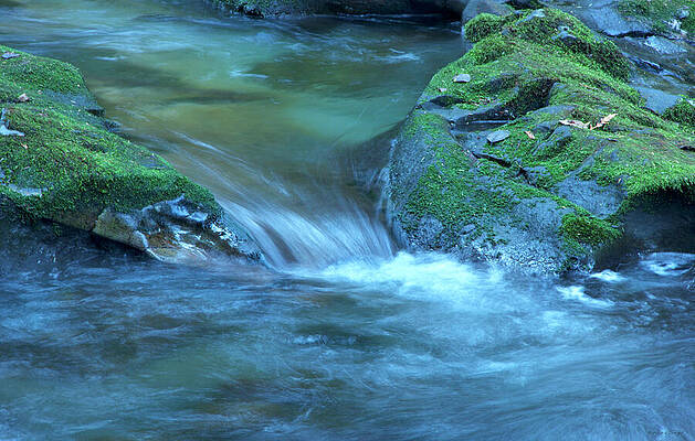 Flowing Stream in Mossy Forest Photograph