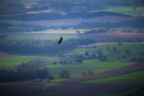 Pennsylvania Wall Art featuring the photograph Flying High Over Pennsylvania Farmland by Jason Fink