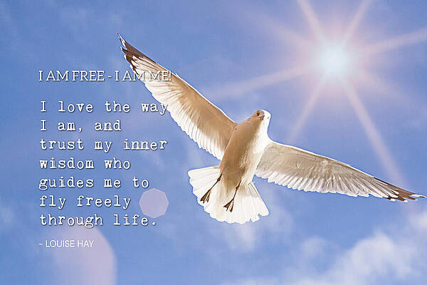 Wall Art featuring the photograph Flying Toward The Light - Inspirational Quote by Tatiana Travelways