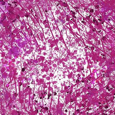 Bold Painting - Focus by Sonja Kraft