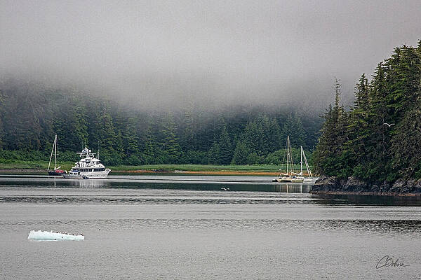 Ocean Photograph - Foggy Cove In Alaska by Charlie Osborn