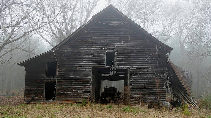 Barn Wall Art featuring the photograph Foggy Day At The Mule Barn by Brian Hare