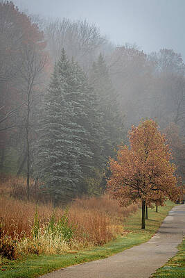Serene Photograph - Foggy Fall_3451 by Mark Triplett