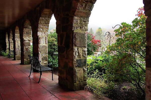 Nature Photograph - Foggy Garden View by Deb Beausoleil