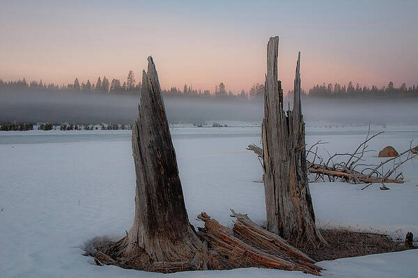 Beautiful Wall Art featuring the photograph Foggy Morn by Mike Lee