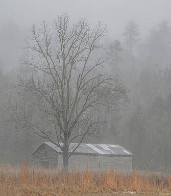 Foggy Morning Barn Scene Wall Art