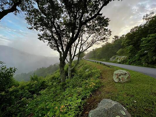 Wall Art featuring the photograph Foggy Morning On The Blue Ridge Parkway by Deb Beausoleil