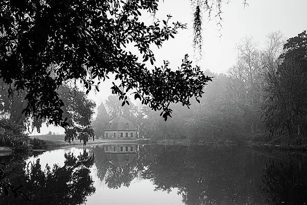 Serene Wall Art featuring the photograph Foggy Morning Reflection by Cindy Robinson