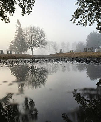 Southern Wall Art featuring the photograph Foggy Morning Reflections by Greg Lane