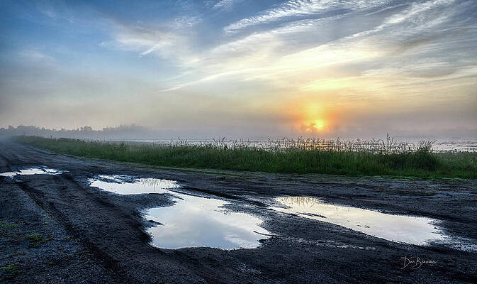 Nature Photograph - Foggy Pocosin Sunrise #1729 by Dan Beauvais