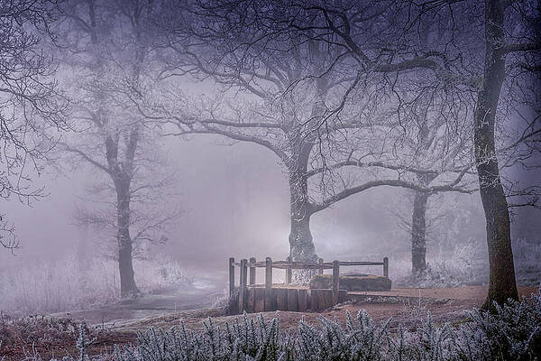 Landscape Photograph - Foggy Point Of View by Chris Boulton