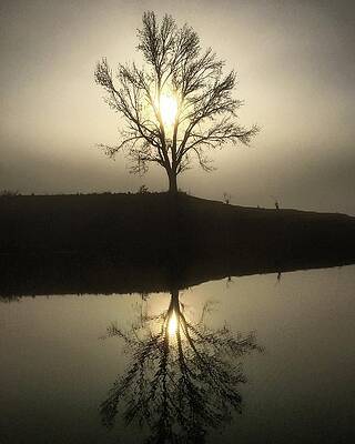 Reflection Photograph - Foggy Reflections by Greg Lane